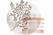 蘑菇影视官网——全景常见问题下载秘籍
