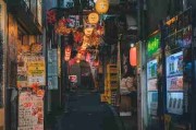 妻社网页版极速安装黑科技（新手必读）